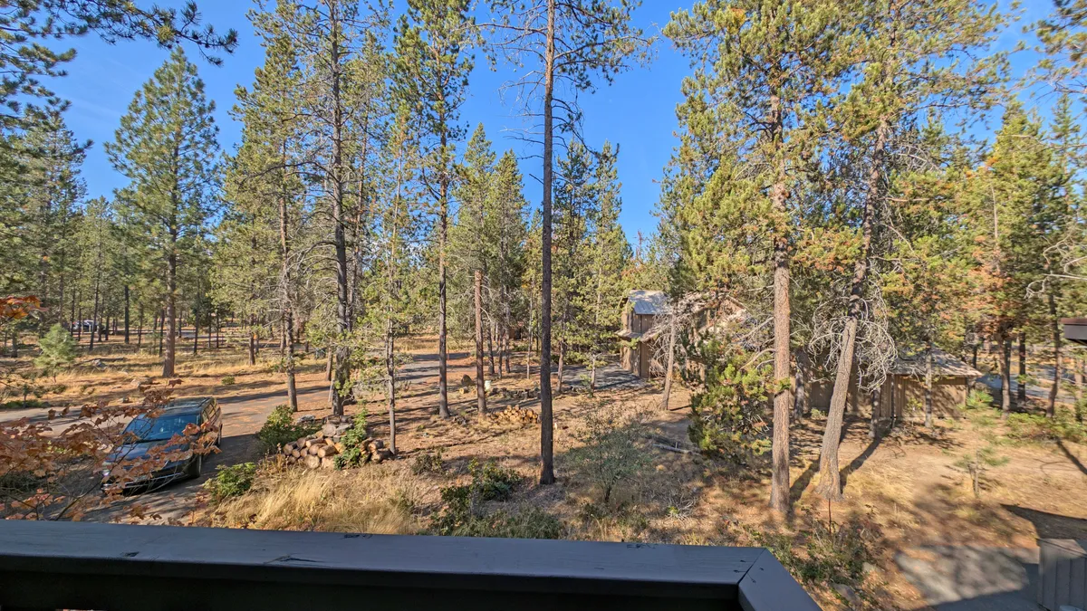 A tranquil forest pathway winds between tall pine trees, with a distant cabin visible in the background. The natural dirt trail evokes a sense of exploration and is ideal for morning walks with a pet, surrounded by peaceful woodland.